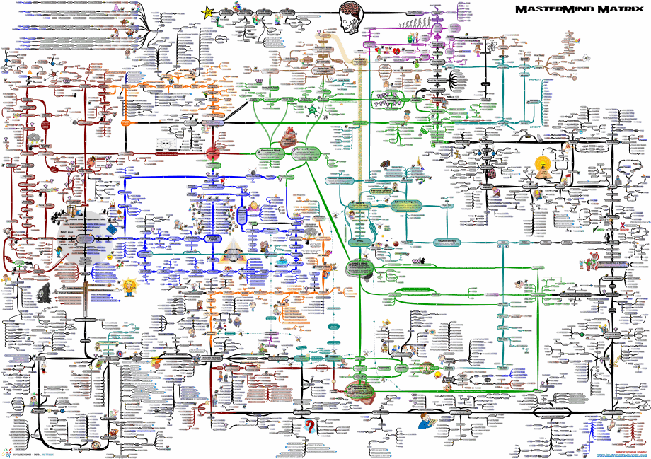 MasterMind Matrix: Life Coaching Chart