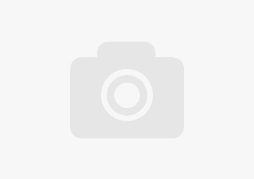 Add alt text for SEO