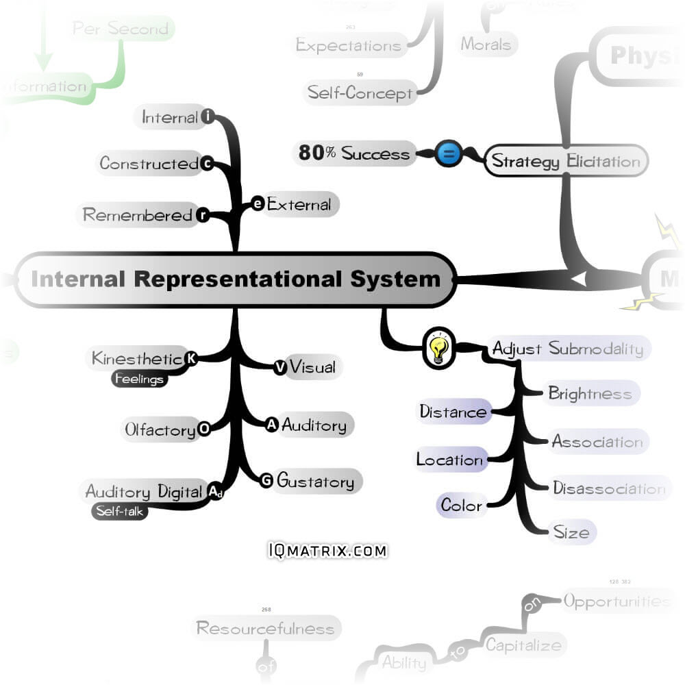 Internal Representational Systems and Submodalities